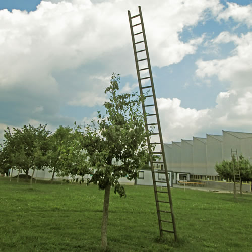 In Erwartung der Ernte - Rudolf Herz - dh2kn141